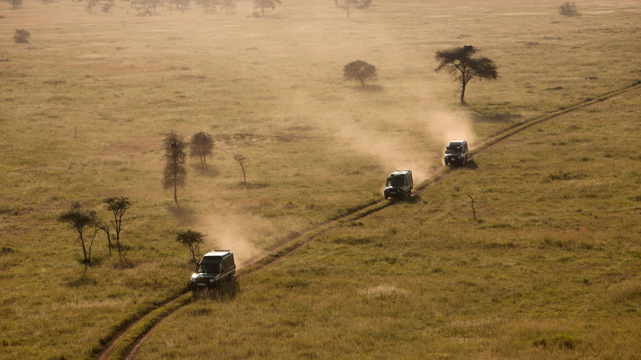 jeeps-driving-along-the-serengeti