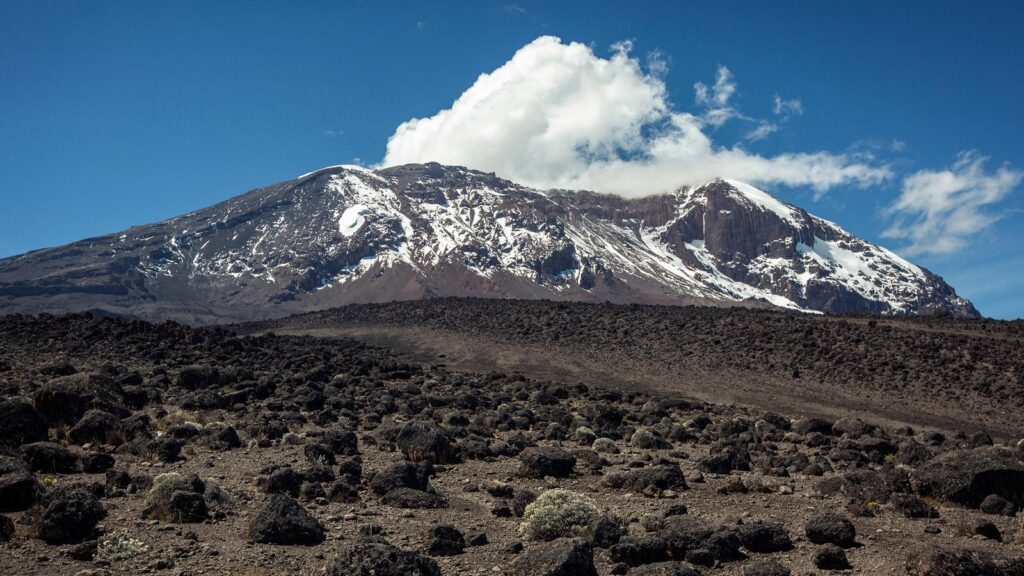 Kilimanjaro 5
