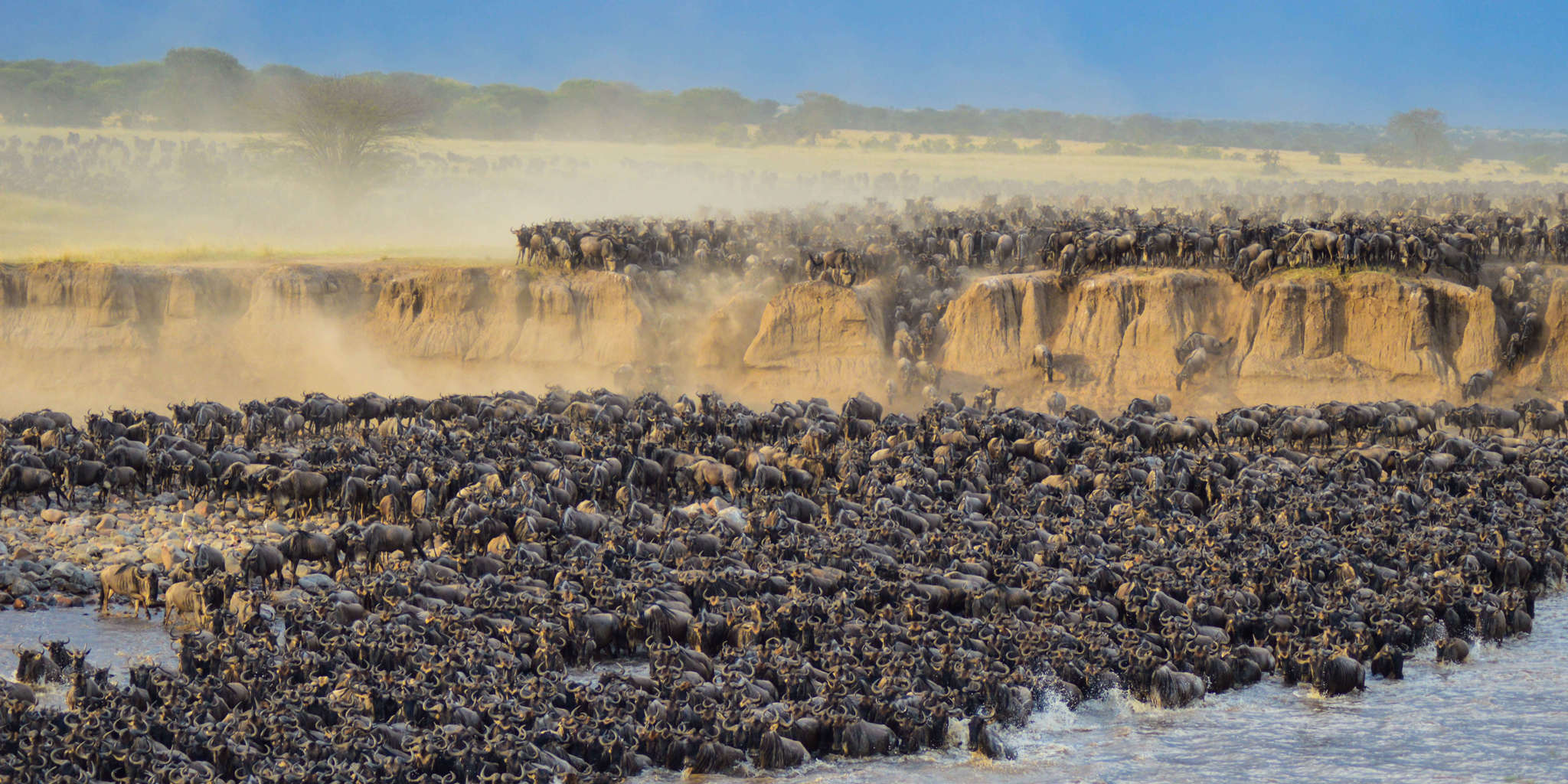 Witnessing The Great Migration A Traveler S Guide To Africa S Most