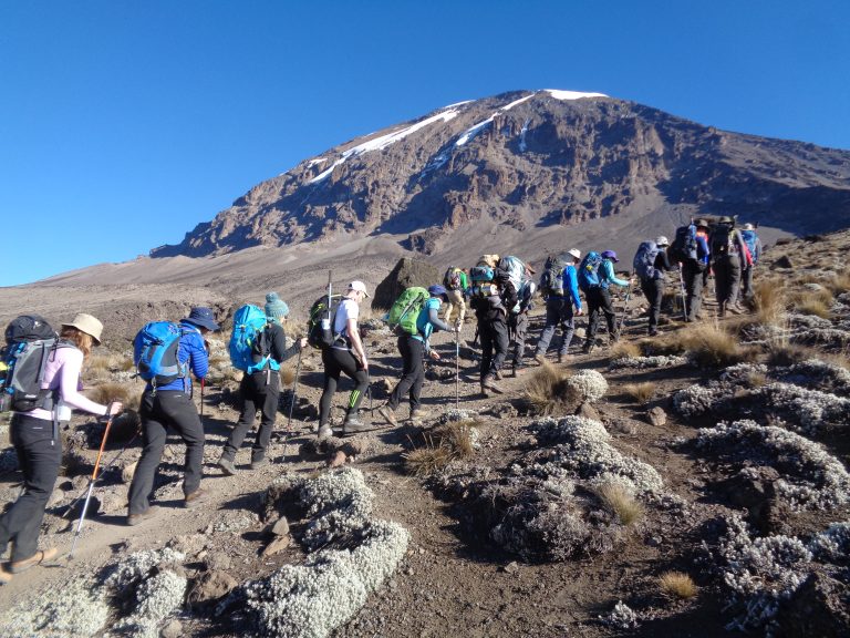 Tanzania Mount Kilimanjaro Trekking Experiences