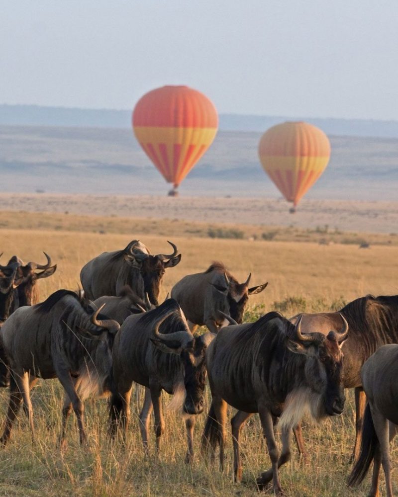 Serengeti-Balloon-Safari-andBeyond-Experience