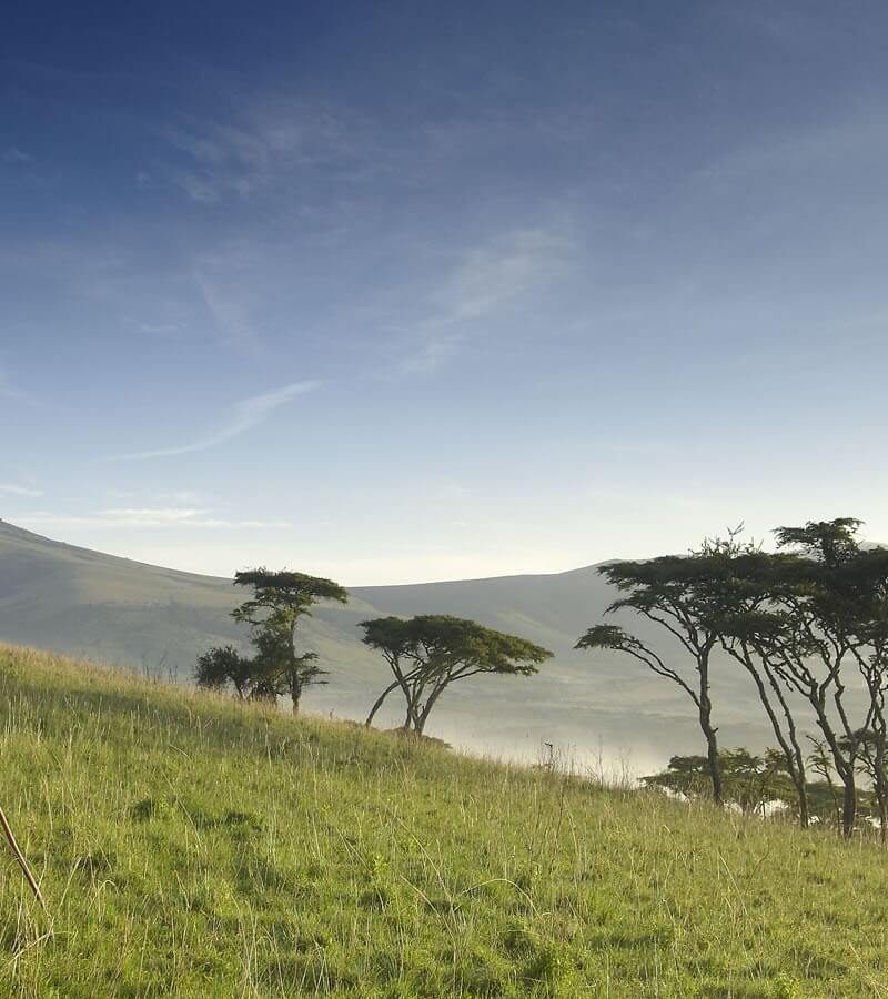 ngorongoro-crater=401195-300